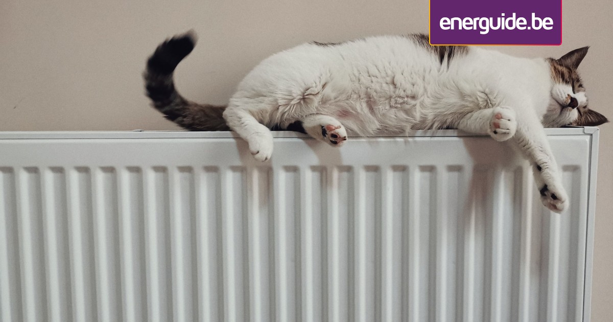 What are the disadvantages of a heat pump? Energuide