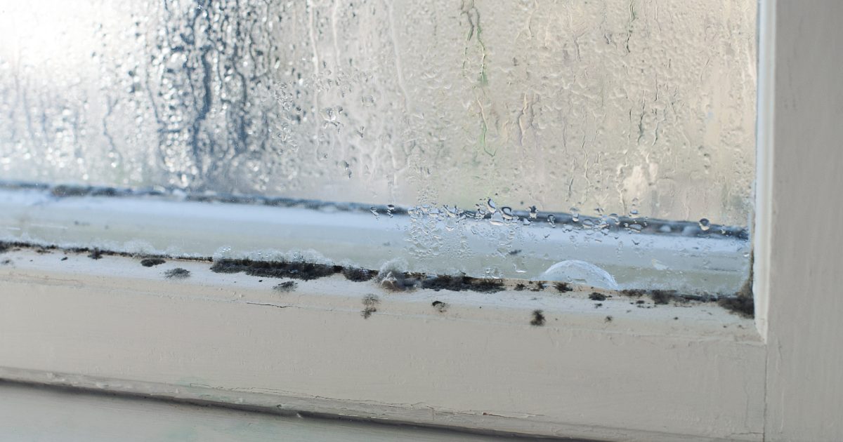 Condensation Issues Energuide | Can condensation indicate problems with the insulation?